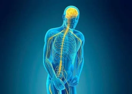 Al momento stai visualizzando Neurochirurgia: il Dottor Ali Baram nuovo punto di riferimento per MedicalCenter San Giuseppe